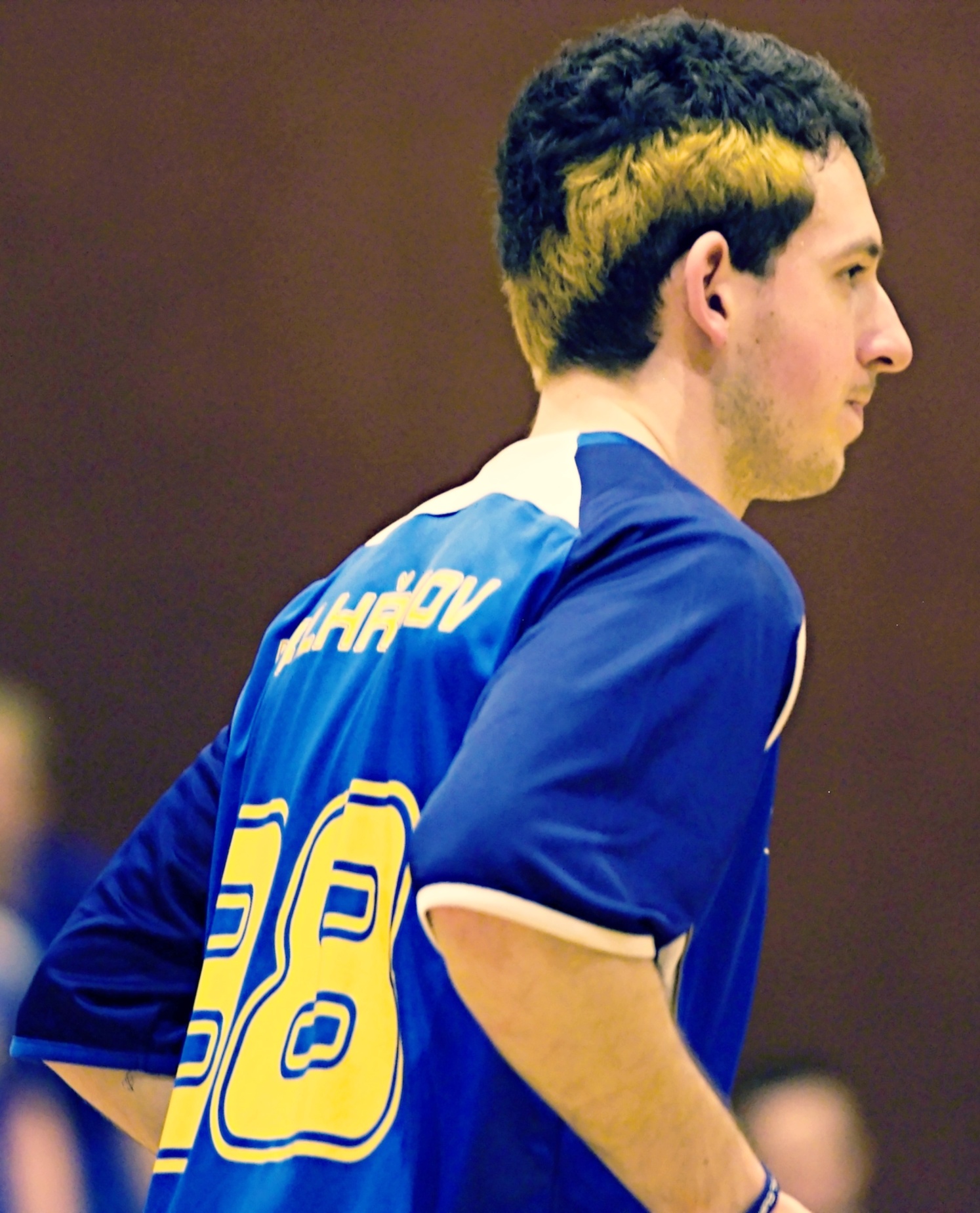 Pe.A   PArdubice 16.2.2013 (73)